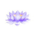 Moonlit Lotus Gertie Scent