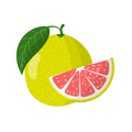 Pomelo Citrus Gertie Scent